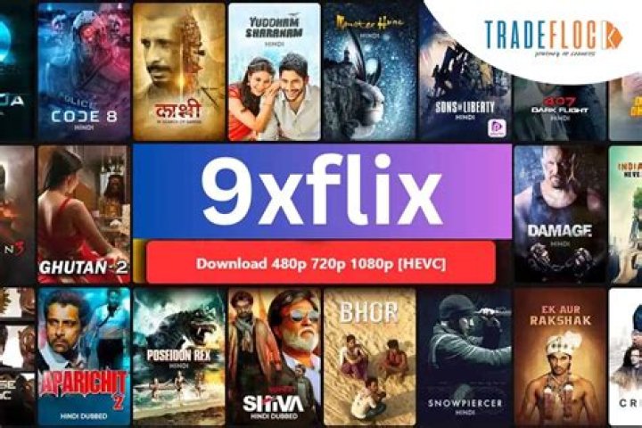 9LMovies: Your Ultimate Destination for Movie Entertainment