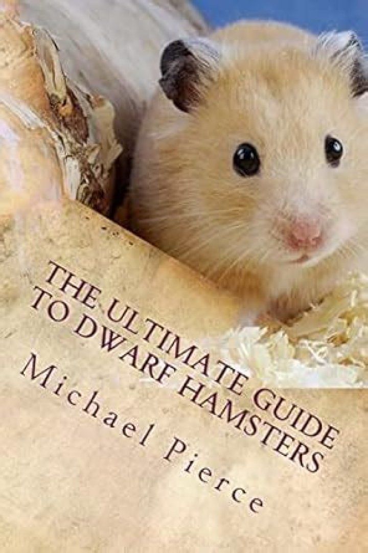 Hamster Care: The Ultimate Guide to Raising Healthy and Happy Hamsters