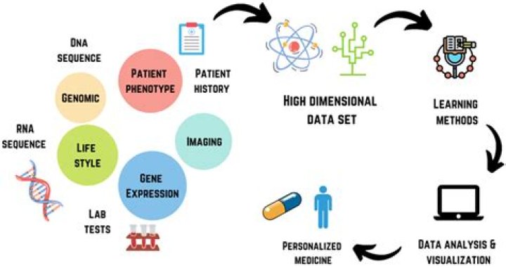 Unveiling the Potential of DHHUB4U: Your Ultimate Guide