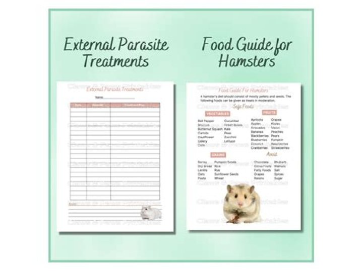 Unveiling the World of X'Hamster: A Comprehensive Guide