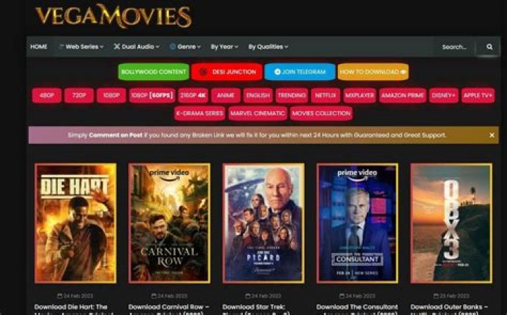 Vega Movies Hub: Your Ultimate Source for Entertainment